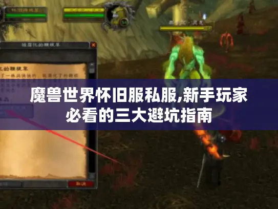魔兽世界怀旧服私服,新手玩家必看的三大避坑指南