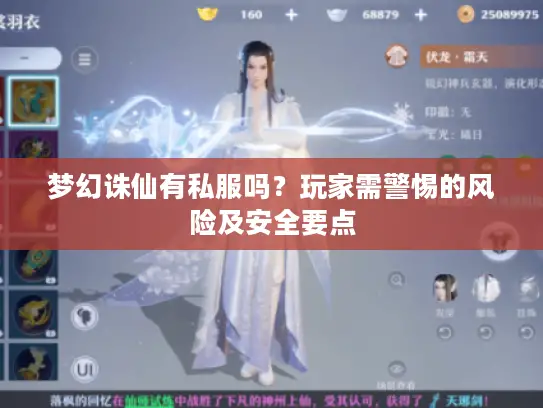 梦幻诛仙有私服吗？玩家需警惕的风险及安全要点
