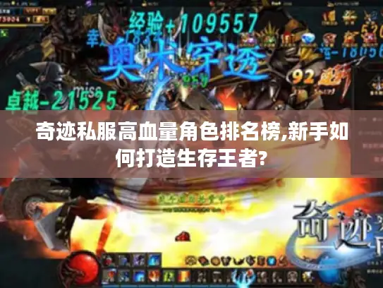 奇迹私服高血量角色排名榜,新手如何打造生存王者?