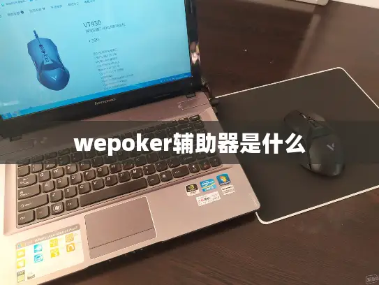 wepoker辅助器是什么