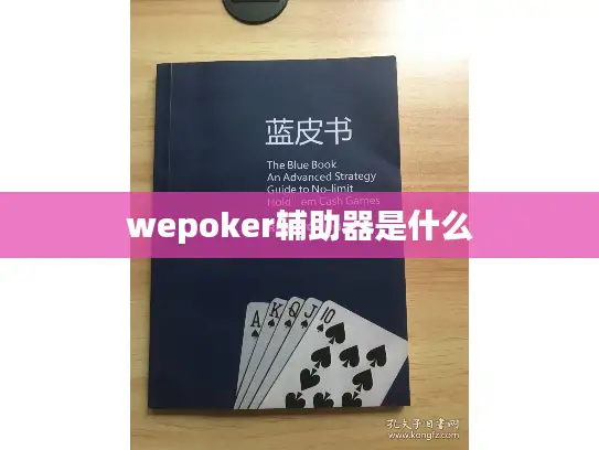wepoker辅助器是什么