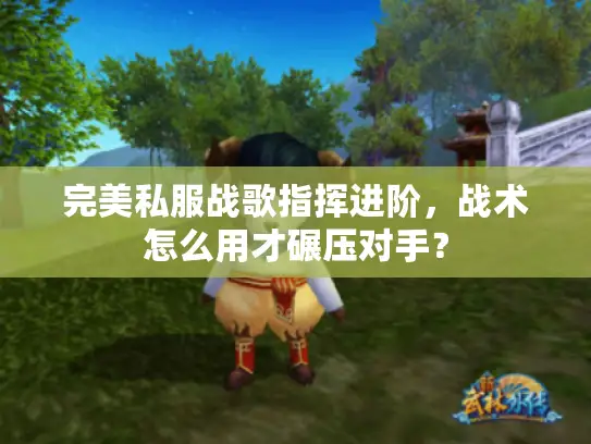 完美私服战歌指挥进阶，战术怎么用才碾压对手？