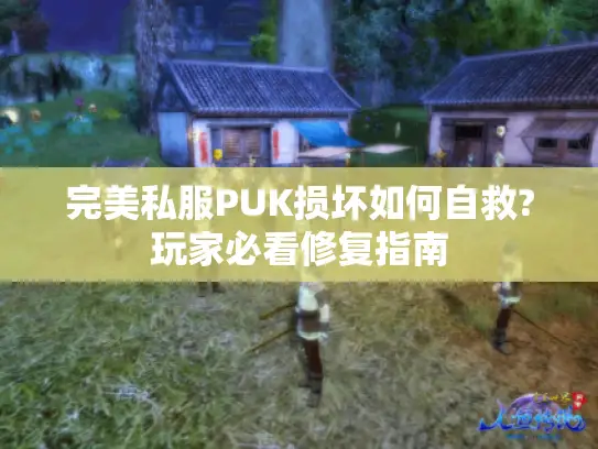完美私服PUK损坏如何自救?玩家必看修复指南 完美私服PUK损坏如何自救?玩家必看修复指南