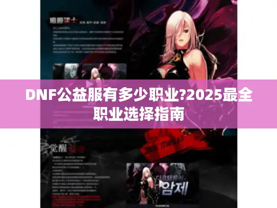 DNF公益服有多少职业?2025最全职业选择指南