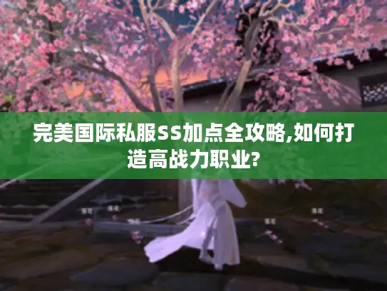 完美国际私服SS加点全攻略,如何打造高战力职业?