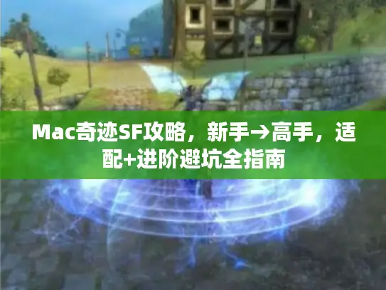 Mac奇迹SF攻略，新手→高手，适配+进阶避坑全指南