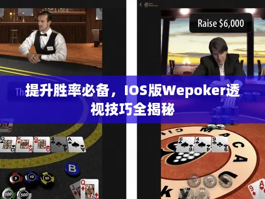 提升胜率必备,IOS版Wepoker透视技巧全揭秘 提升胜率必备,IOS版Wepoker透视技巧全揭秘