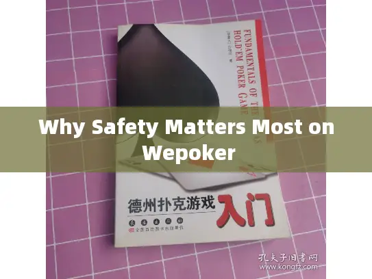 Why Safety Matters Most on Wepoker