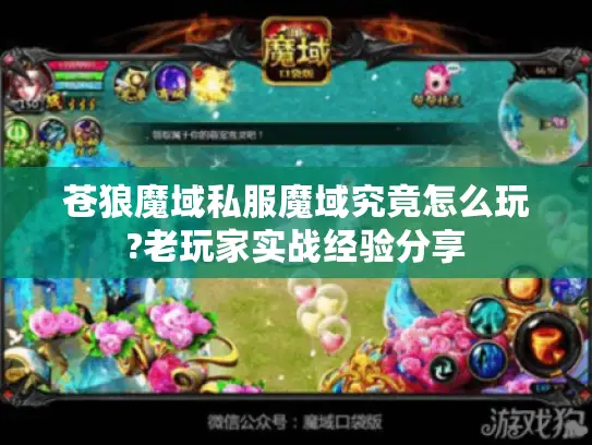 苍狼魔域私服魔域究竟怎么玩?老玩家实战经验分享