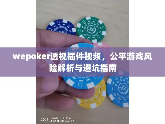 wepoker透视插件视频，公平游戏风险解析与避坑指南