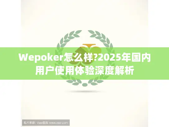 Wepoker怎么样?2025年国内用户使用体验深度解析