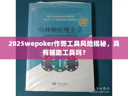 2025wepoker作弊工具风险揭秘，真有辅助工具吗？