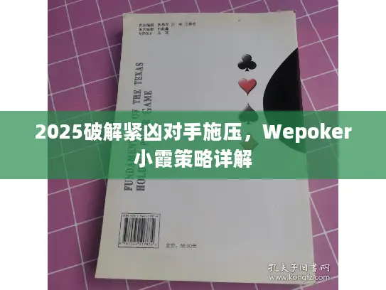 2025破解紧凶对手施压，Wepoker小霞策略详解