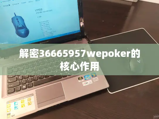 解密36665957wepoker的核心作用 解密36665957wepoker的核心作用