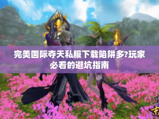 完美国际夺天私服下载陷阱多?玩家必看的避坑指南