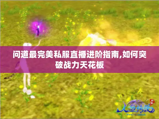 问道最完美私服直播进阶指南,如何突破战力天花板