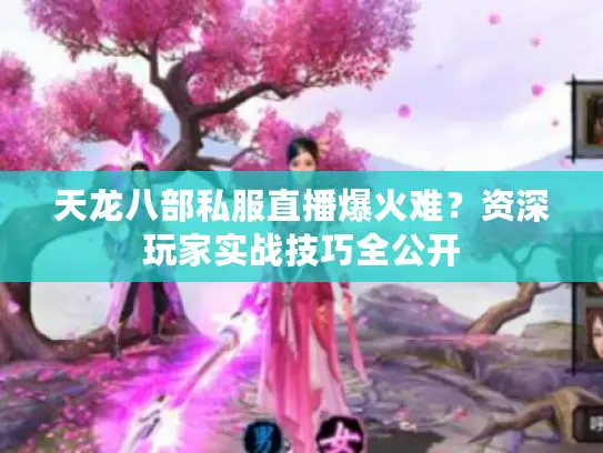 天龙八部私服直播爆火难？资深玩家实战技巧全公开