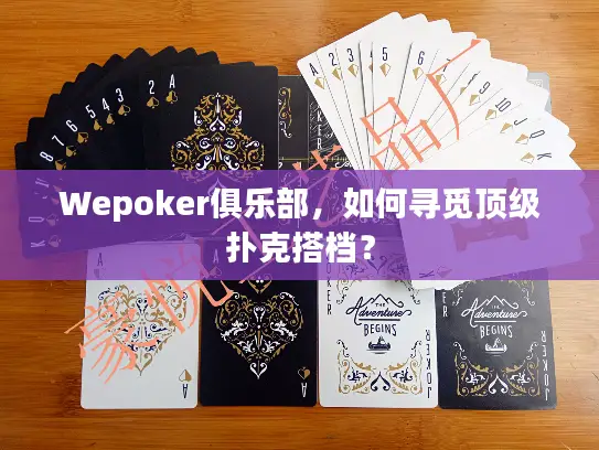 Wepoker俱乐部,如何寻觅顶级扑克搭档? Wepoker俱乐部,如何寻觅顶级扑克搭档?