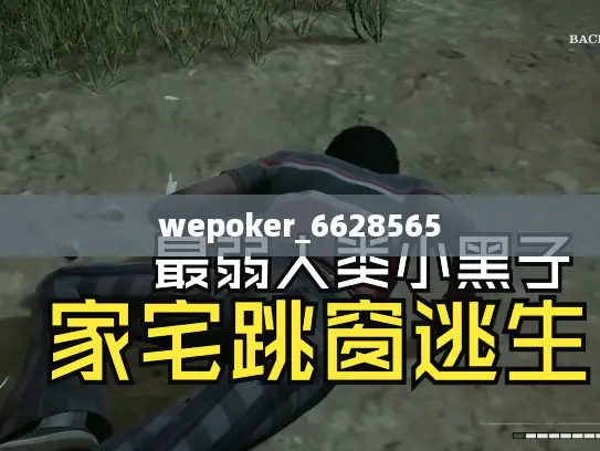 wepoker_6628565