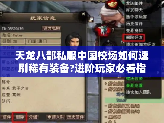 天龙八部私服中国校场如何速刷稀有装备?进阶玩家必看指南