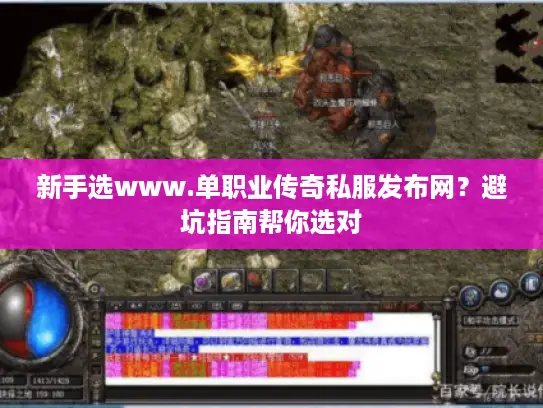 新手选www.单职业传奇私服发布网？避坑指南帮你选对
