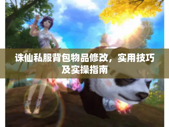 诛仙私服背包物品修改，实用技巧及实操指南