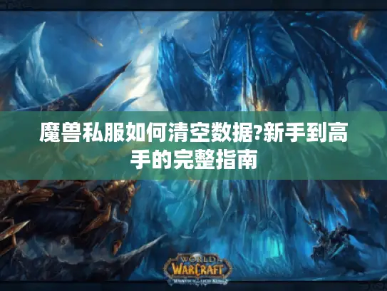 魔兽私服如何清空数据?新手到高手的完整指南