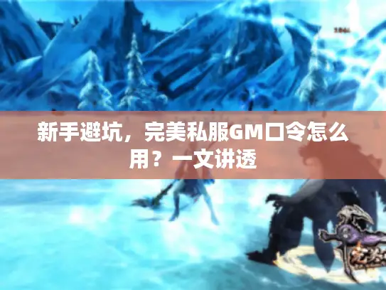 新手避坑，完美私服GM口令怎么用？一文讲透