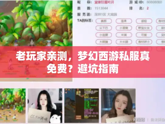 老玩家亲测，梦幻西游私服真免费？避坑指南
