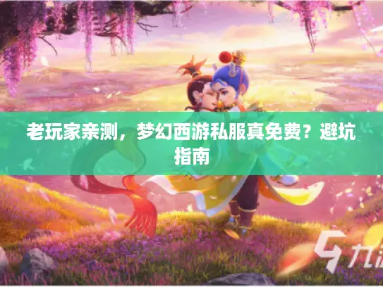 老玩家亲测，梦幻西游私服真免费？避坑指南