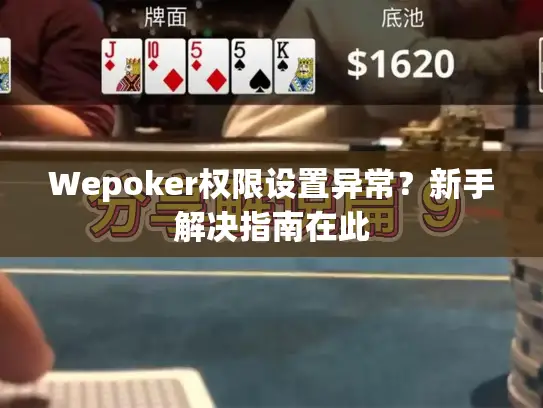 Wepoker权限设置异常？新手解决指南在此