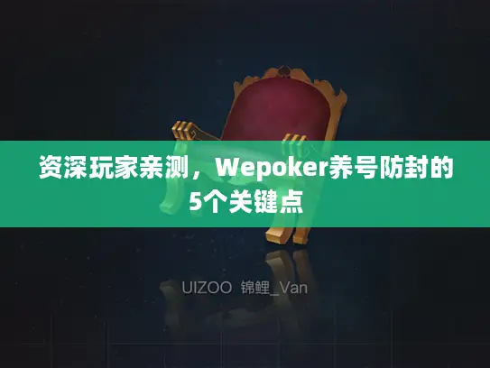 资深玩家亲测，Wepoker养号防封的5个关键点