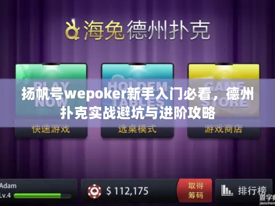 扬帆号wepoker新手入门必看，德州扑克实战避坑与进阶攻略