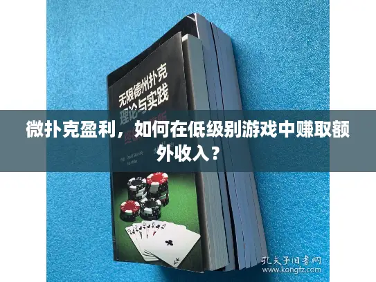 微扑克盈利，如何在低级别游戏中赚取额外收入？