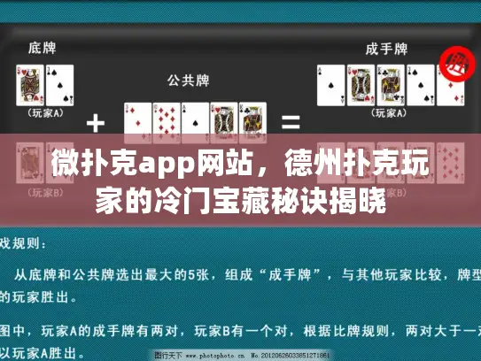 微扑克app网站，德州扑克玩家的冷门宝藏秘诀揭晓