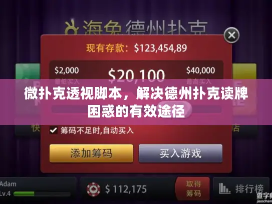 微扑克透视脚本,解决德州扑克读牌困惑的有效途径 微扑克透视脚本,解决德州扑克读牌困惑的有效途径