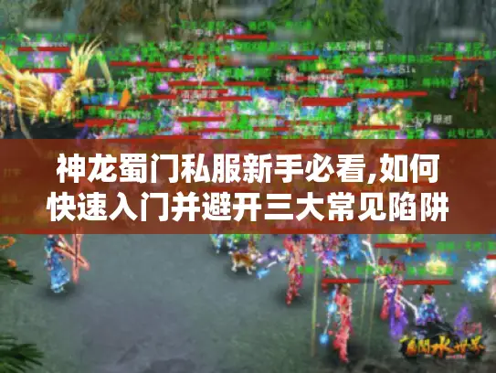 神龙蜀门私服新手必看,如何快速入门并避开三大常见陷阱?