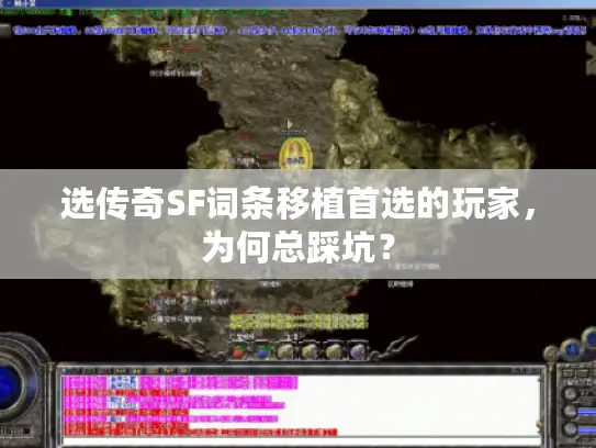 选传奇SF词条移植首选的玩家，为何总踩坑？