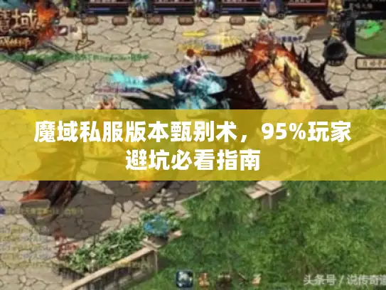 魔域私服版本甄别术，95%玩家避坑必看指南