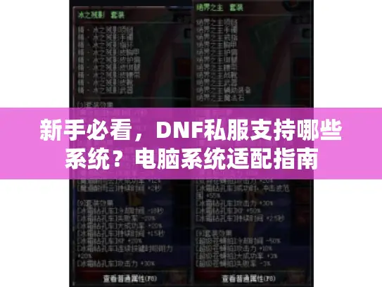 新手必看,DNF私服支持哪些系统?电脑系统适配指南 新手必看,DNF私服支持哪些系统?电脑系统适配指南