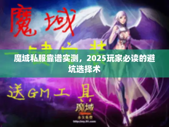 魔域私服靠谱实测,2025玩家必读的避坑选择术 魔域私服靠谱实测,2025玩家必读的避坑选择术