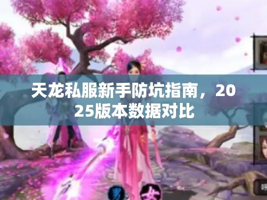 天龙私服新手防坑指南，2025版本数据对比