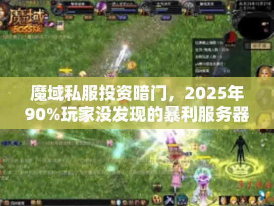 魔域私服投资暗门，2025年90%玩家没发现的暴利服务器