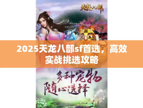 2025天龙八部sf首选,高效实战挑选攻略 2025天龙八部sf首选,高效实战挑选攻略