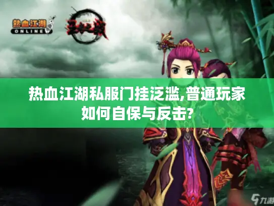 热血江湖私服门挂泛滥,普通玩家如何自保与反击?