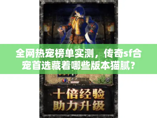 全网热宠榜单实测，传奇sf合宠首选藏着哪些版本猫腻？