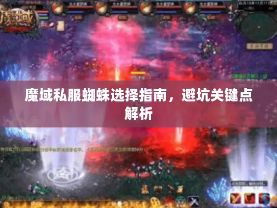 魔域私服蜘蛛选择指南，避坑关键点解析