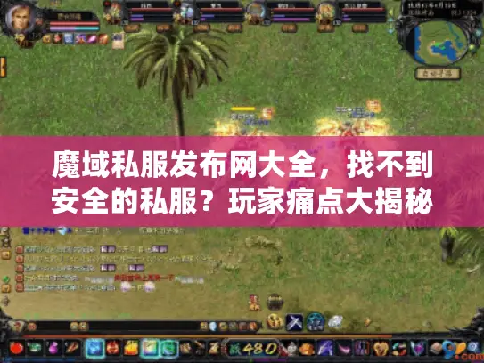 魔域私服发布网大全，找不到安全的私服？玩家痛点大揭秘