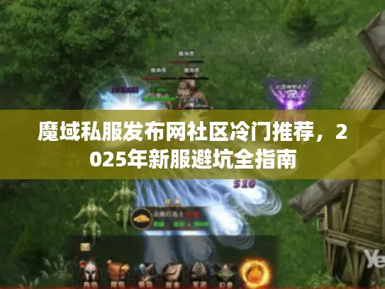 魔域私服发布网社区冷门推荐，2025年新服避坑全指南