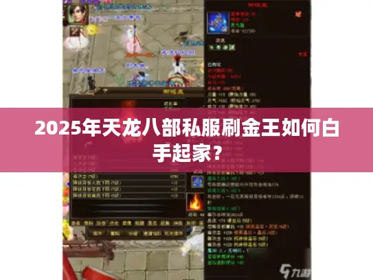 2025年天龙八部私服刷金王如何白手起家? 2025年天龙八部私服刷金王如何白手起家?